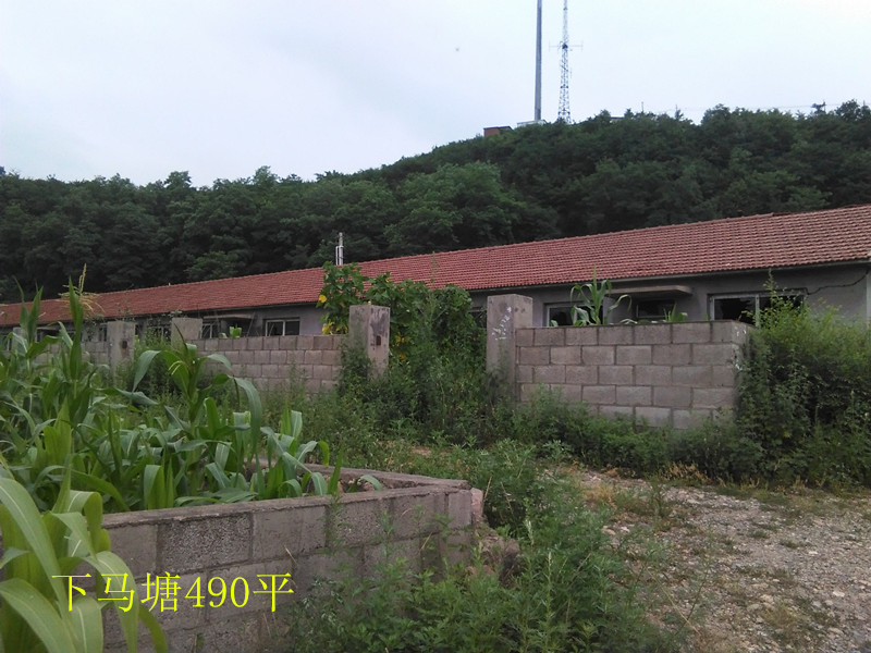 6̖(ho)  Ϸ҅^(q)R(zhn)̼Ҵ巿a(chn)