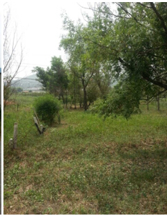 19̖ ɽǧɽ^(q)|ɽ(zhn)|Ӵ弯wʹÙ