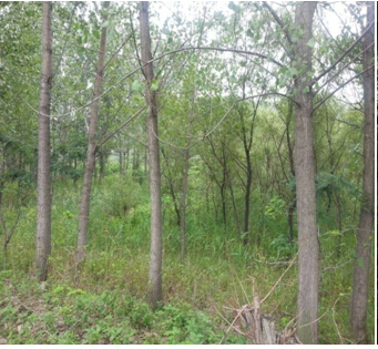 20̖ ɽǧɽ^(q)|ɽ(zhn)ԭ2̎ʹÙ