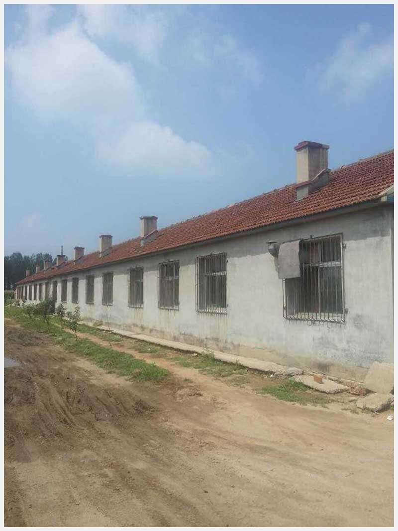 86̖(ho) Ж|(zhn)|Ĵ巿a(chn)(gu)ʹÙ(qun)