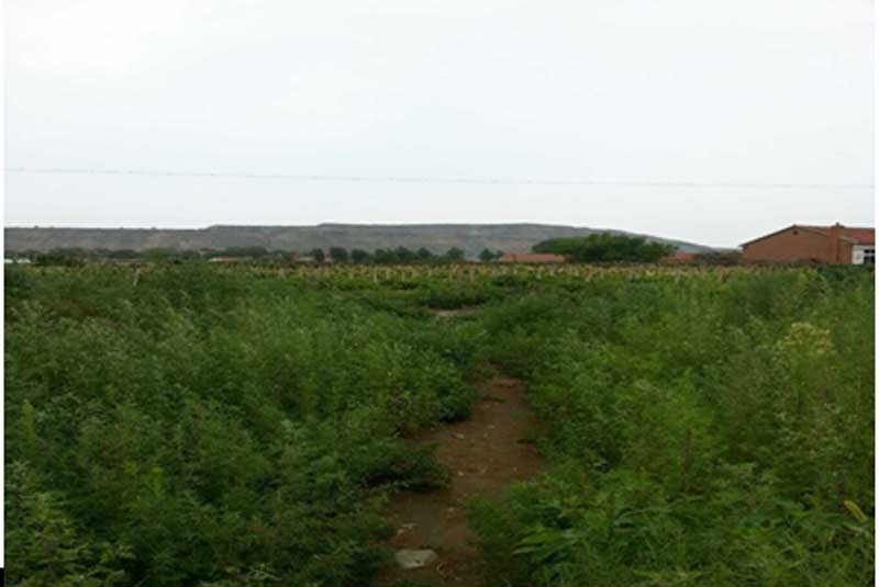 31̖ ɽǧɽ^(q)Ƽҷ(zhn)WCʹÙ